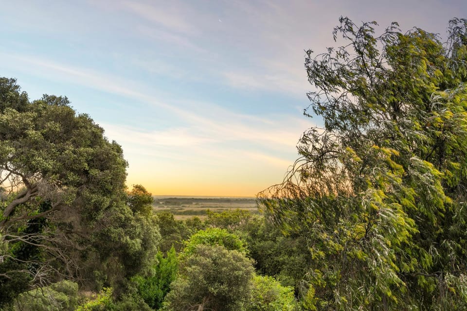 Natural landscape