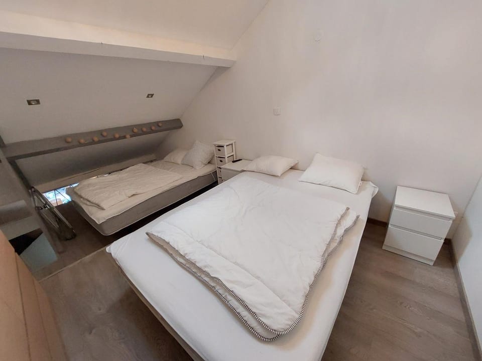 Duplex Moderne Proche des Pistes, Accès Ski - FR-1-516-214 Apartment in Les Deux Alpes