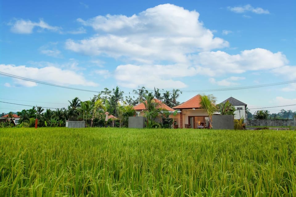Natural landscape