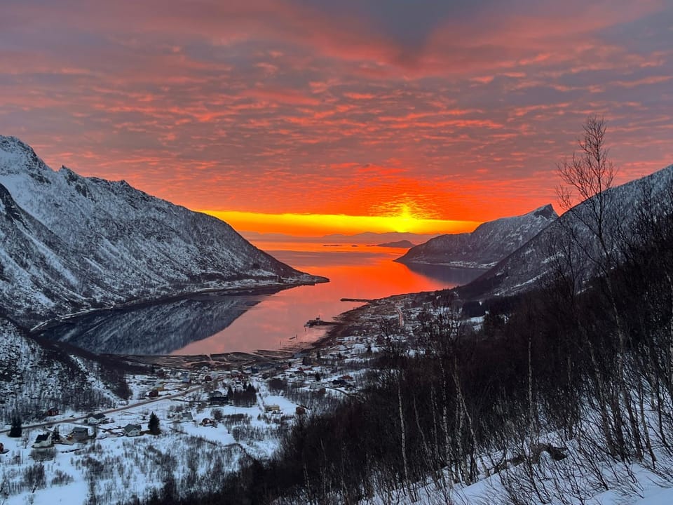 Leilighet i rorbu på Kaldfarnes - Yttersia Senja Apartment in Nordland, Norway