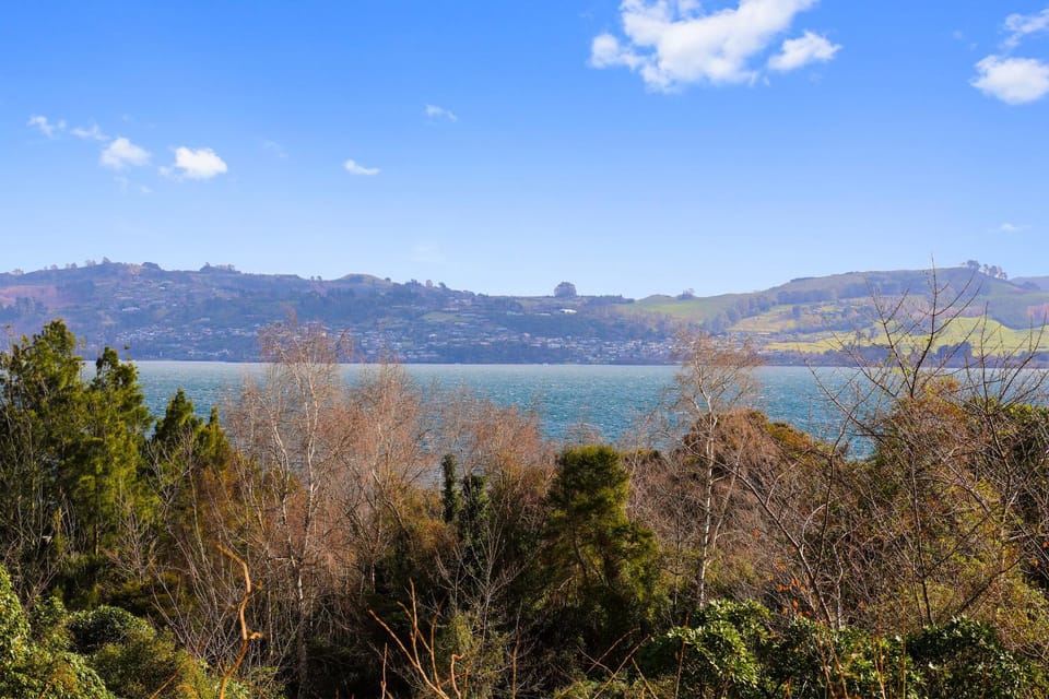 Lake view