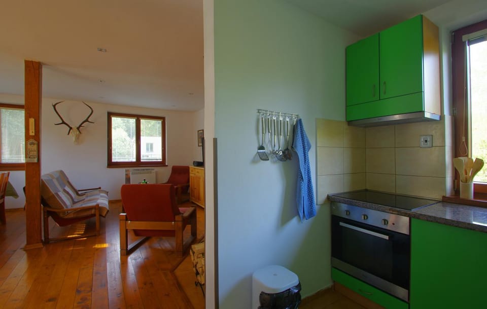 Kitchen or kitchenette, Living room, stove