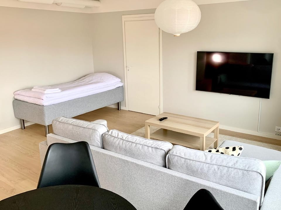 Communal lounge/ TV room, Bed, TV and multimedia, Living room, Seating area, Evening entertainment, Bedroom