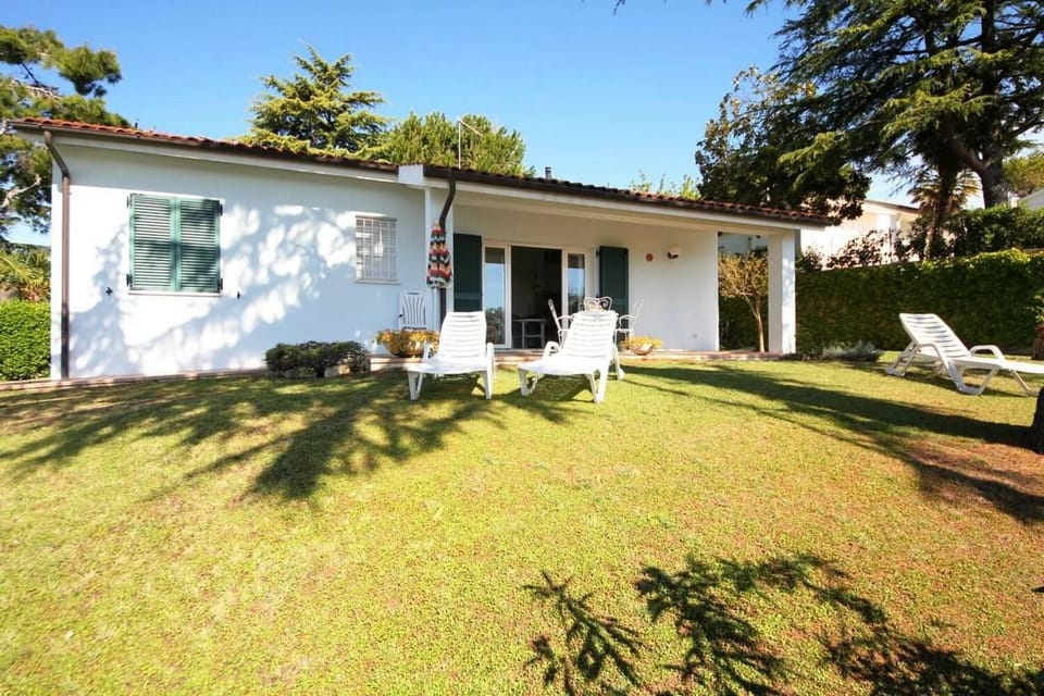 Summer, Garden, Garden view