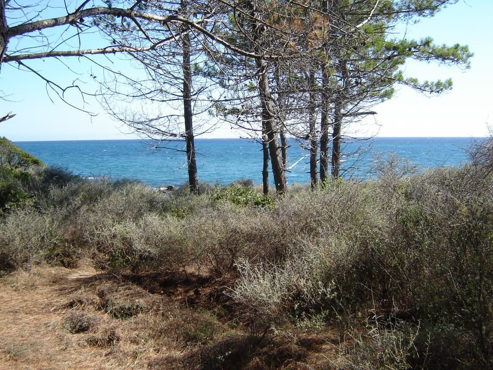 Natural landscape