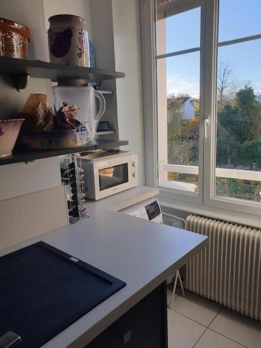 Kitchen or kitchenette, minibar, toaster