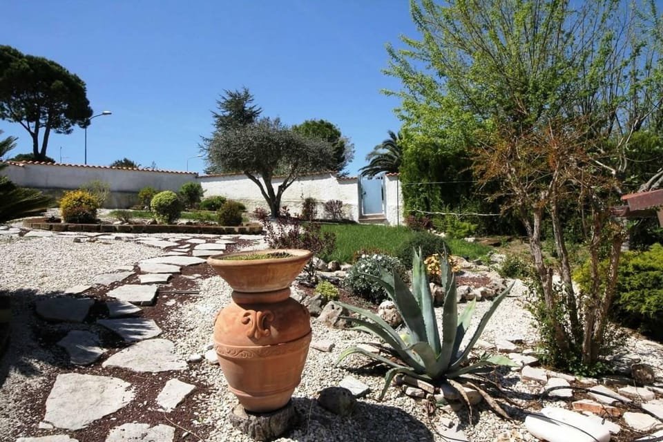 Garden, Garden, Garden view