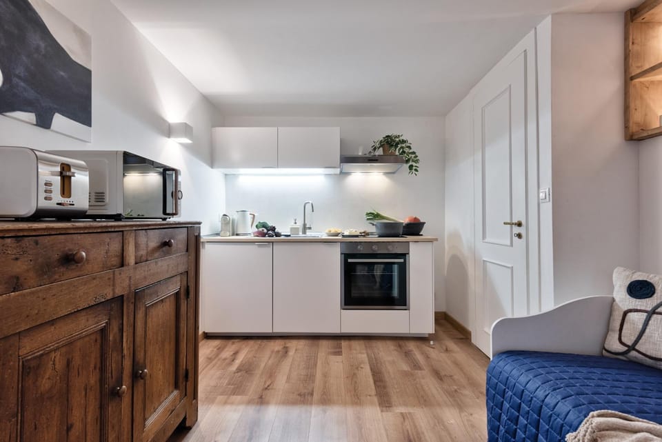 Kitchen or kitchenette, minibar, pet friendly, stove, toaster
