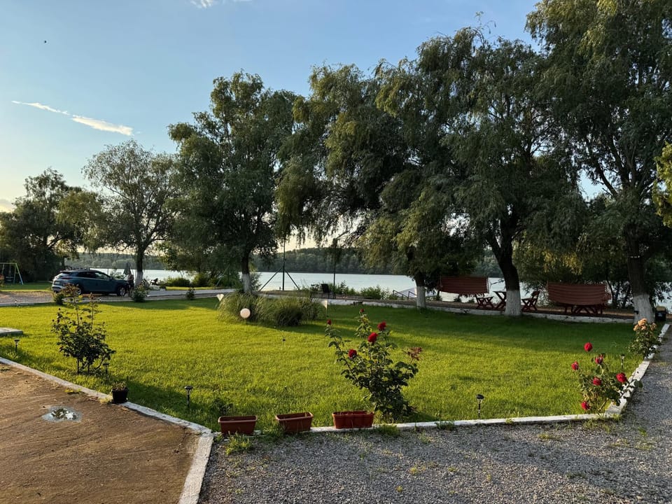 Day, Natural landscape, Garden view