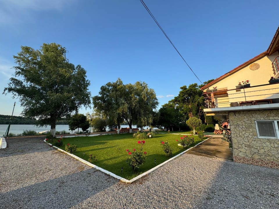 Natural landscape, Garden, Garden view