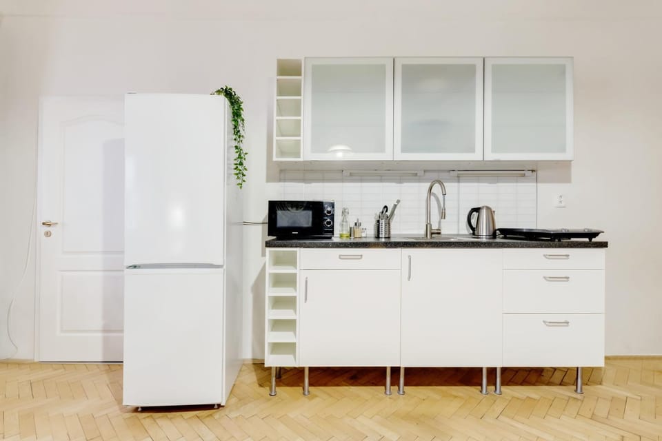 Kitchen or kitchenette, minibar, stove