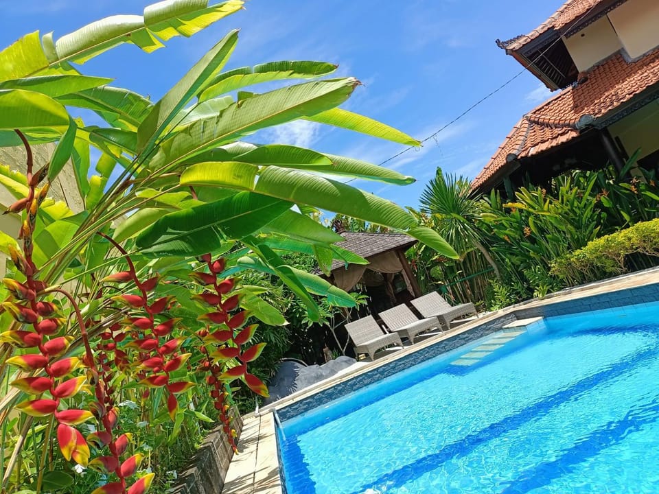 Garden, Balcony/Terrace