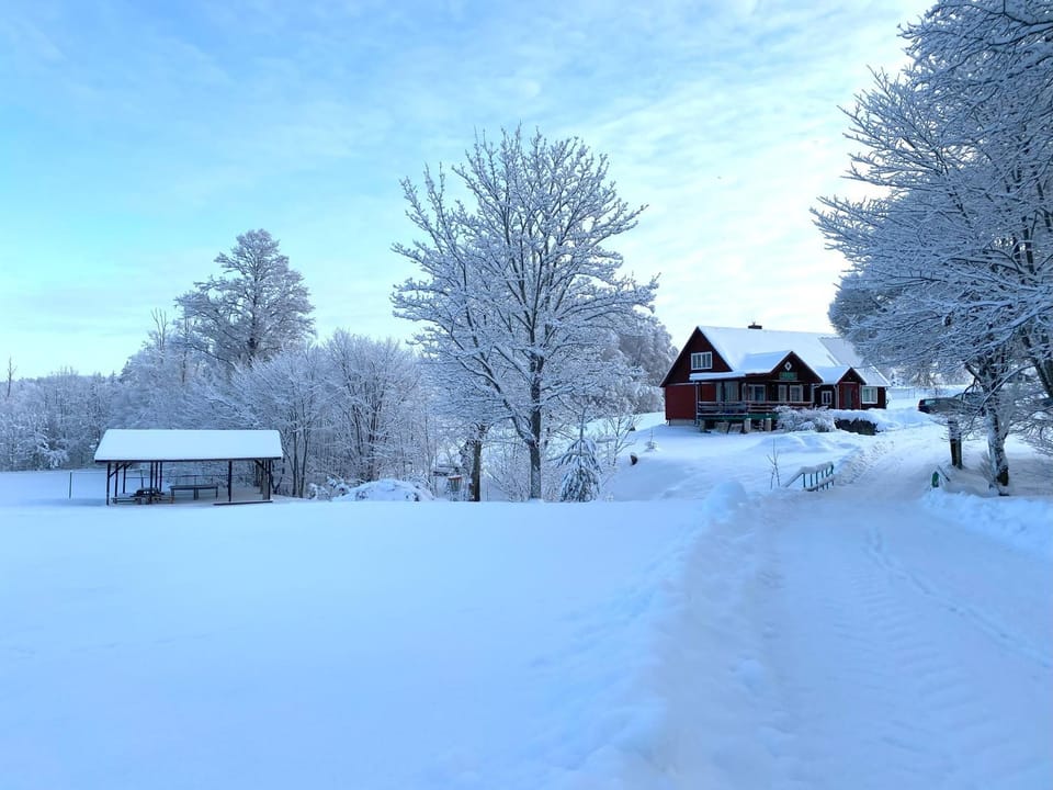 Day, Natural landscape, Winter