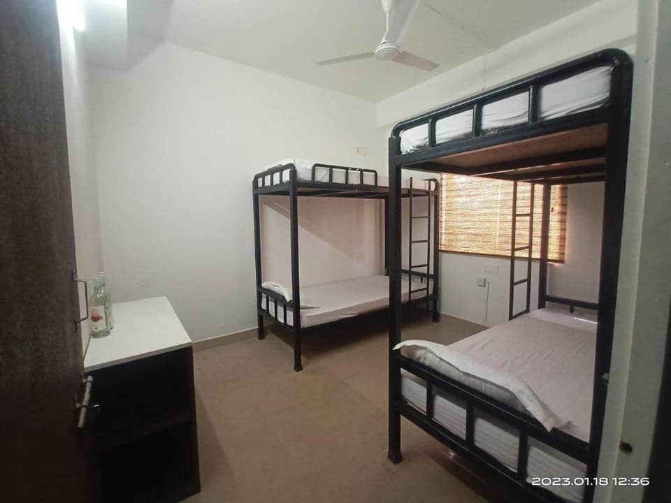 bunk bed