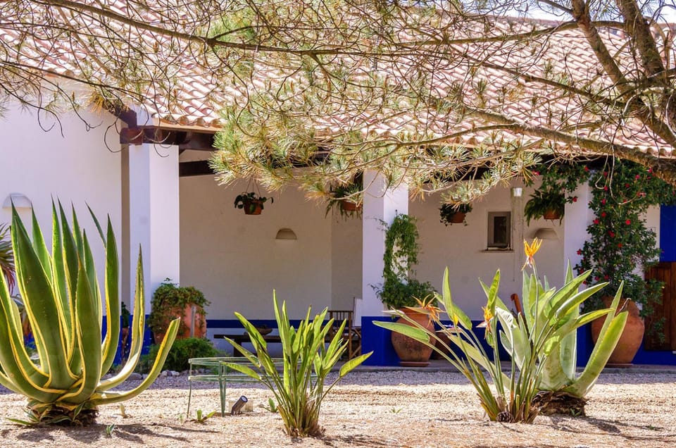 Property building, Garden, Garden view