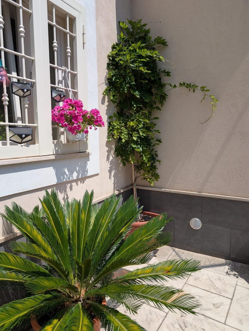 B&B IL GLICINE Bed and Breakfast in Campania