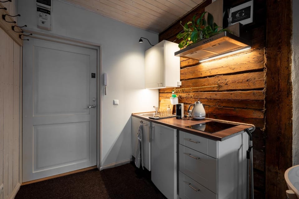 Garden Studio next to Telliskivi & Old Town Apartment in Tallinn