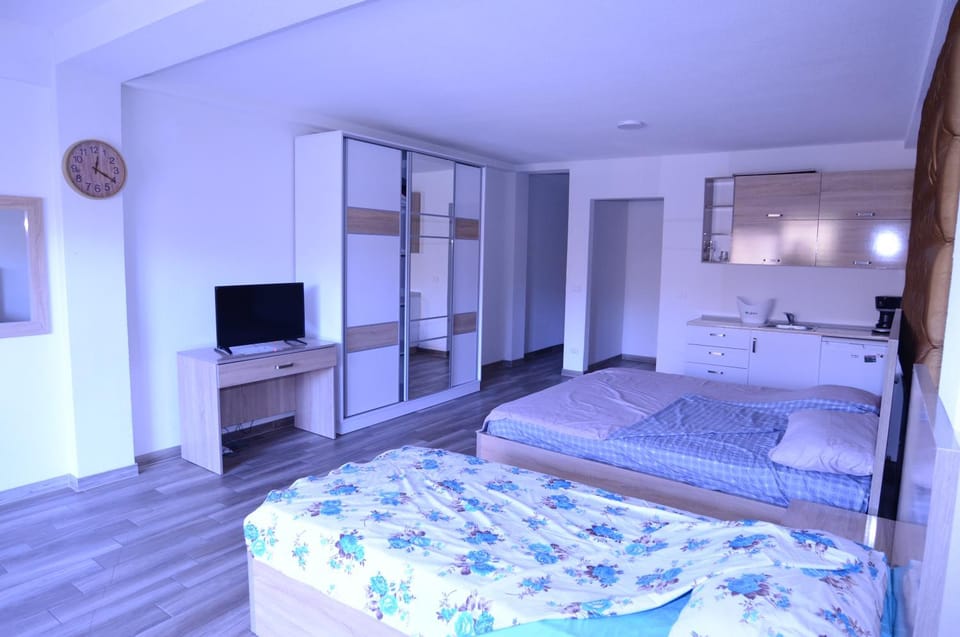 Bed, TV and multimedia, Kitchen or kitchenette, Photo of the whole room, Bedroom