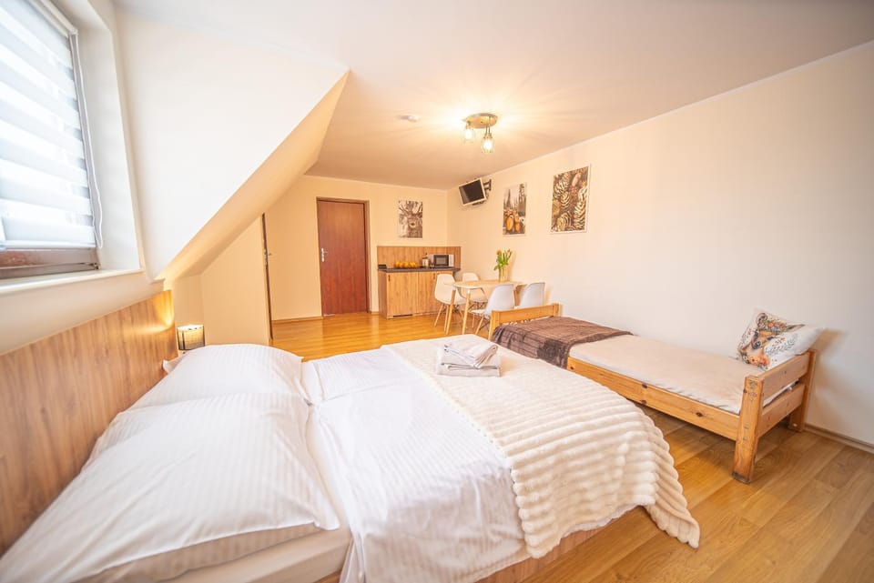 Bed, TV and multimedia, Kitchen or kitchenette, Living room, Photo of the whole room, Seating area, Dining area, Bedroom, microwave, oven, kitchen