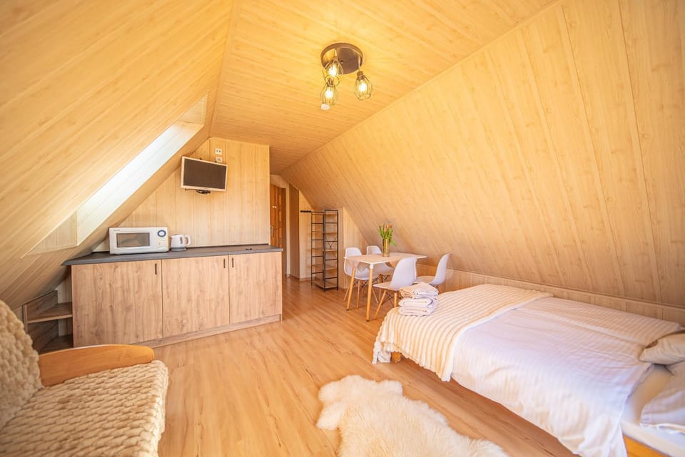 Bed, TV and multimedia, Kitchen or kitchenette, Photo of the whole room, Seating area, Bedroom, microwave, oven, kitchen