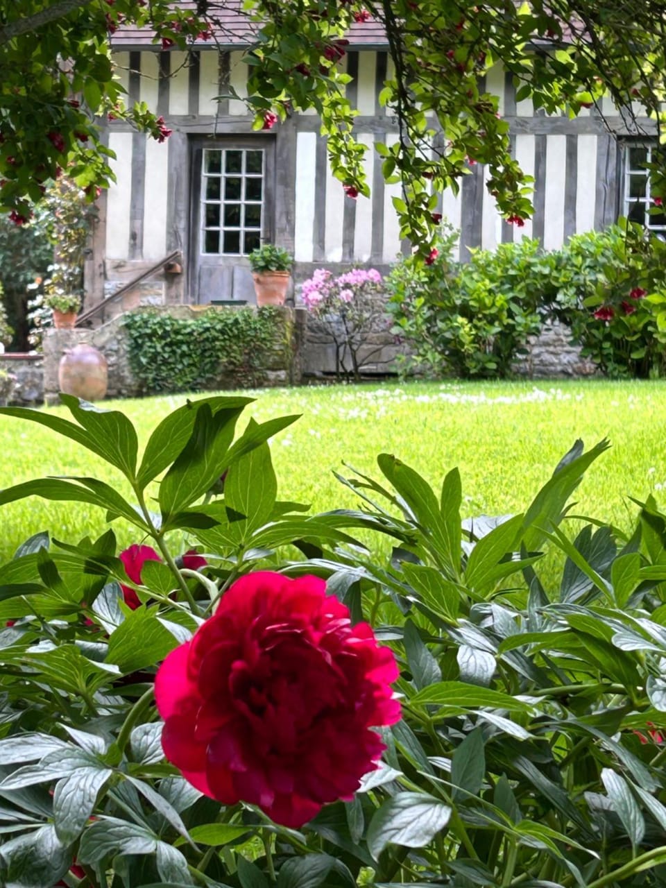 Property building, Garden, Garden, Garden view