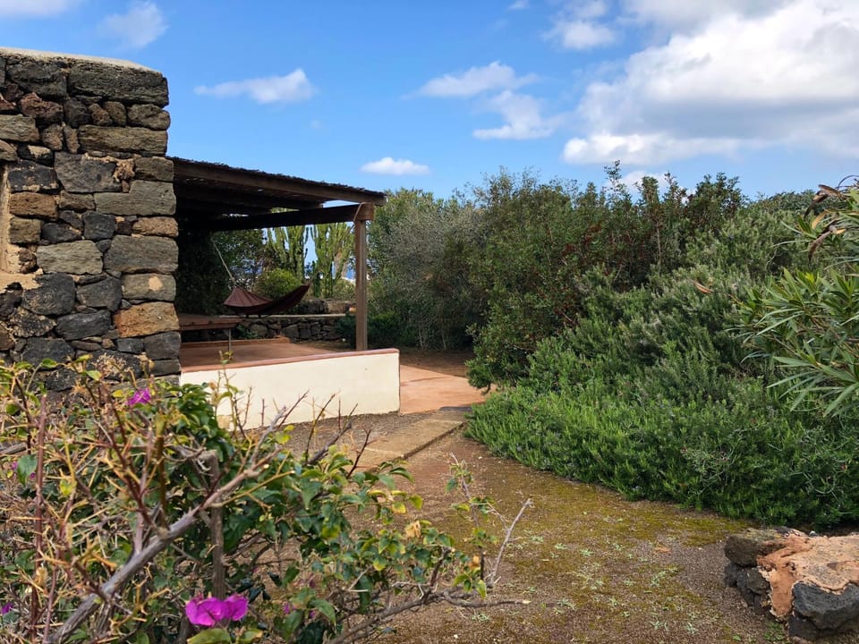 Patio, Garden