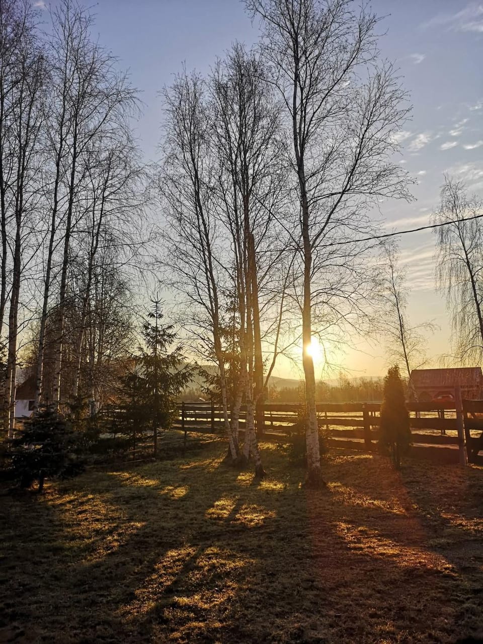 Spring, Natural landscape, Sunrise