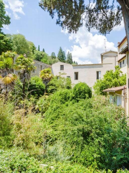 Property building, Garden view