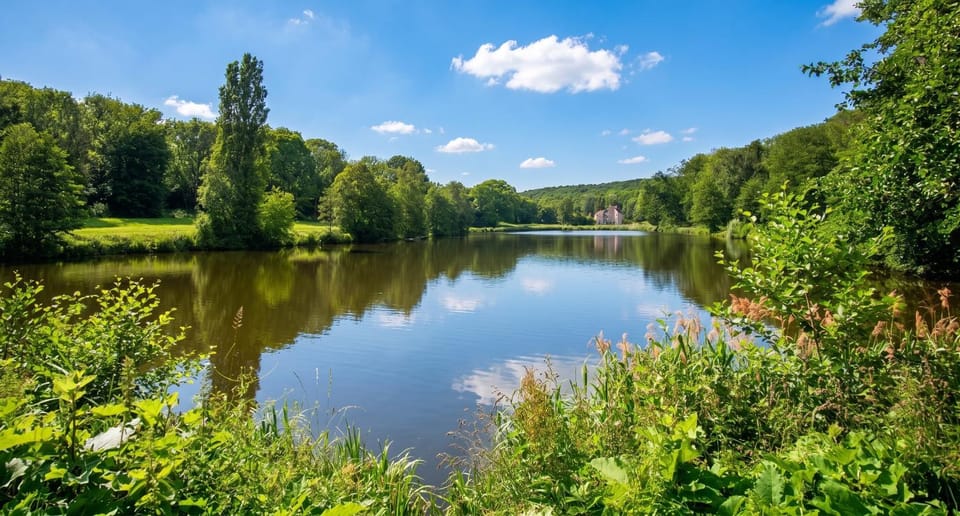 Lake view