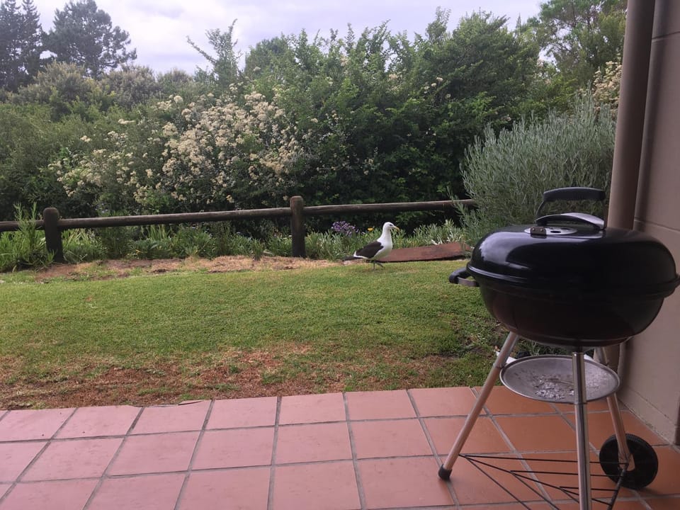 BBQ facilities, Garden view