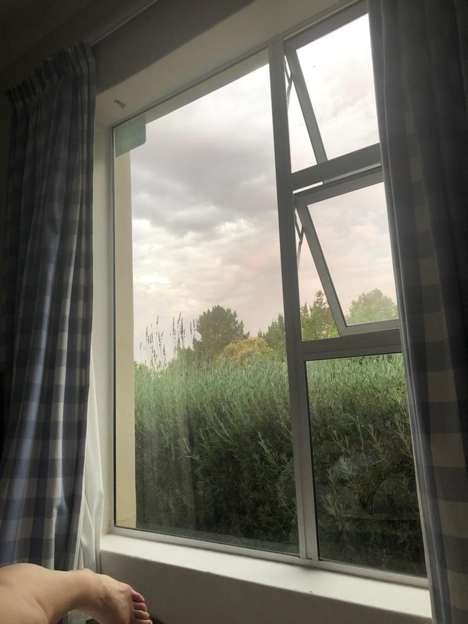 Day, Garden, Garden view