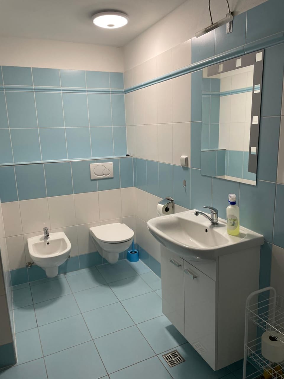 Toilet, Bathroom, bidet