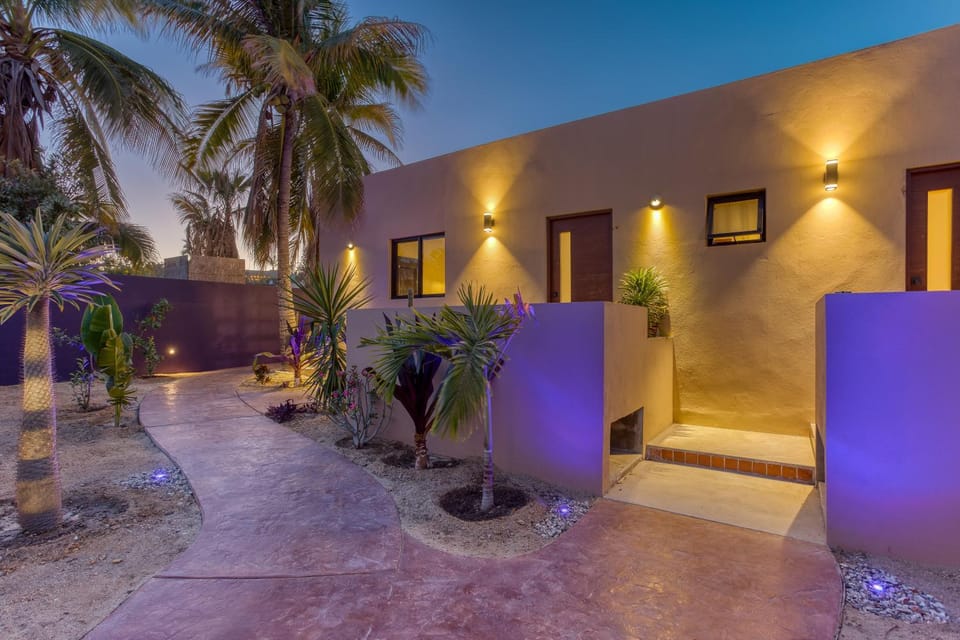 Property building, Night, Garden