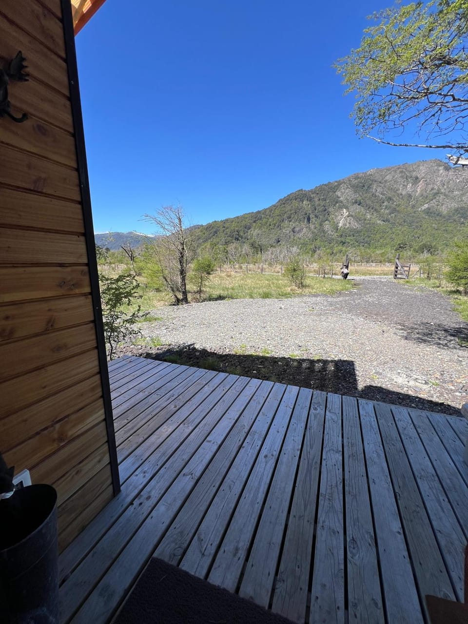 Garden view