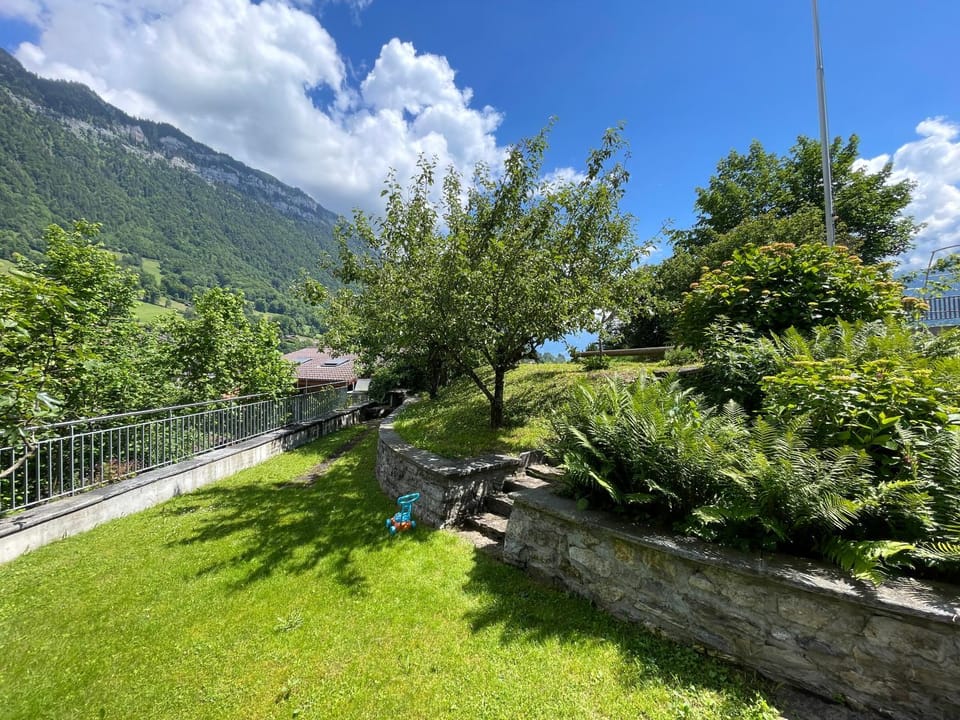 Garden view
