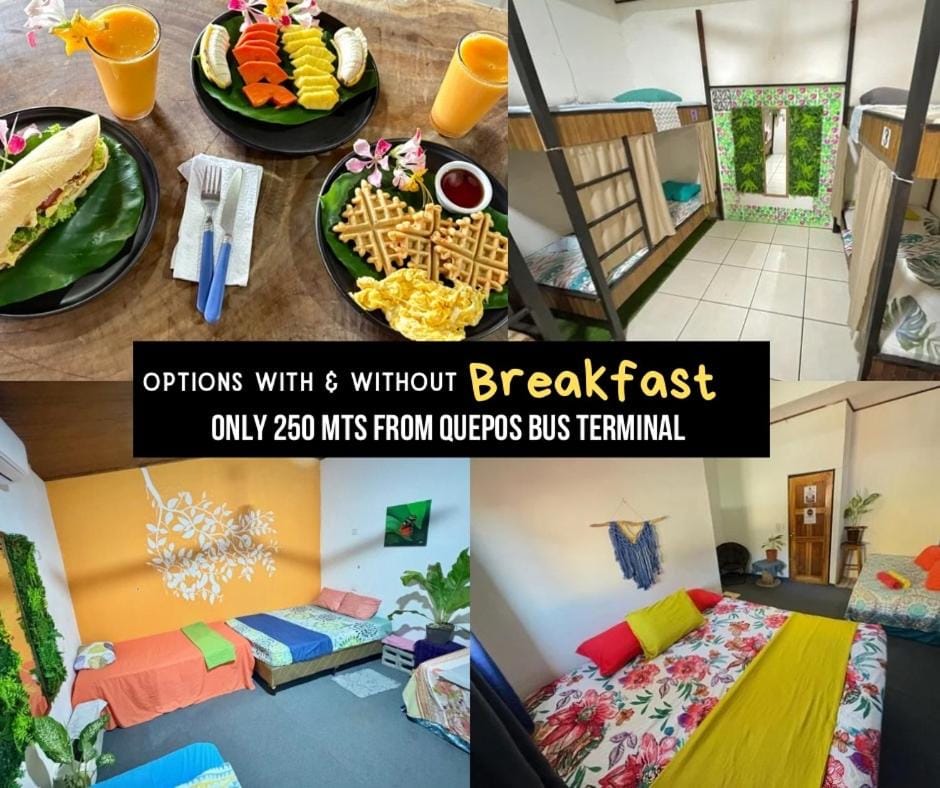 Passifloras Hostel Hostel in Quepos