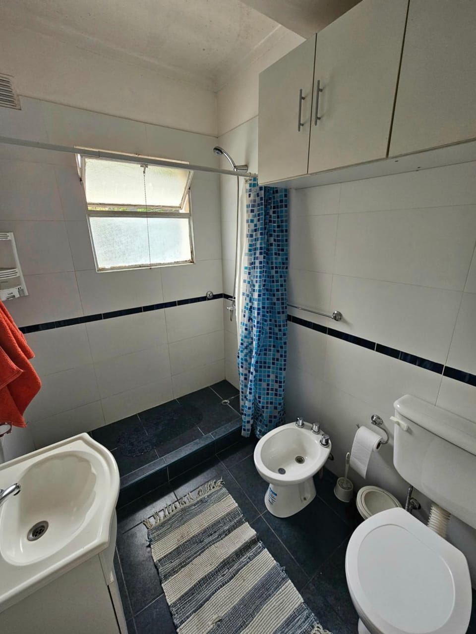 Shower, Toilet, Bathroom, bidet