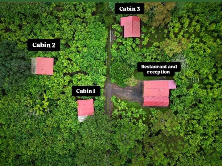 Río Celeste, Cacahua Lodge Bed and Breakfast in Alajuela Province