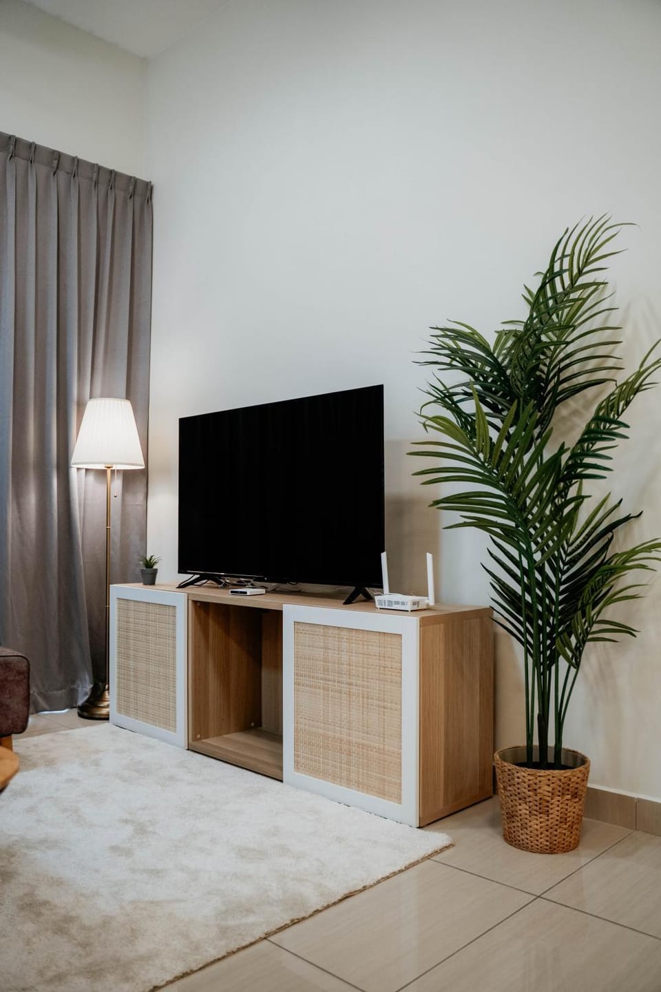 TV and multimedia