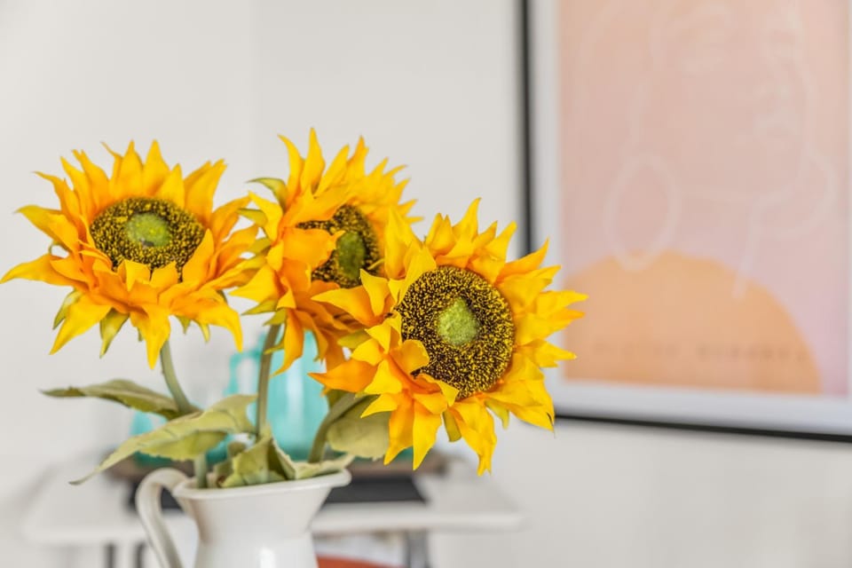 Sunflower Costa Blanca Apartment in Santa Pola