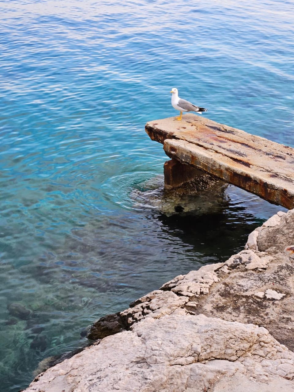 Natural landscape, Sea view