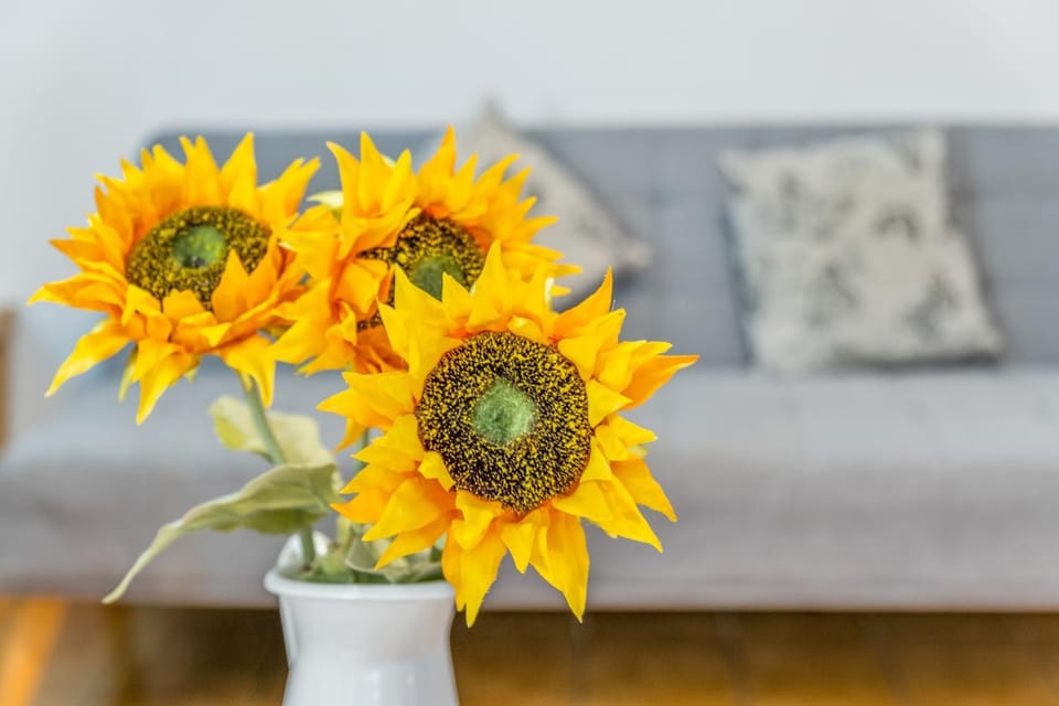 Sunflower Siroco Apartment in Santa Pola