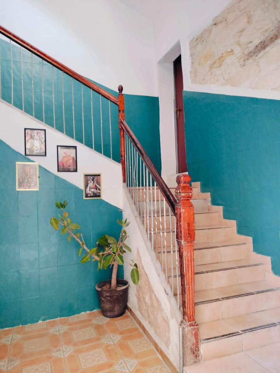 Estudio coqueto céntrico Apartment in Alicante