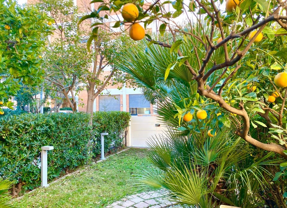 Garden, Garden view