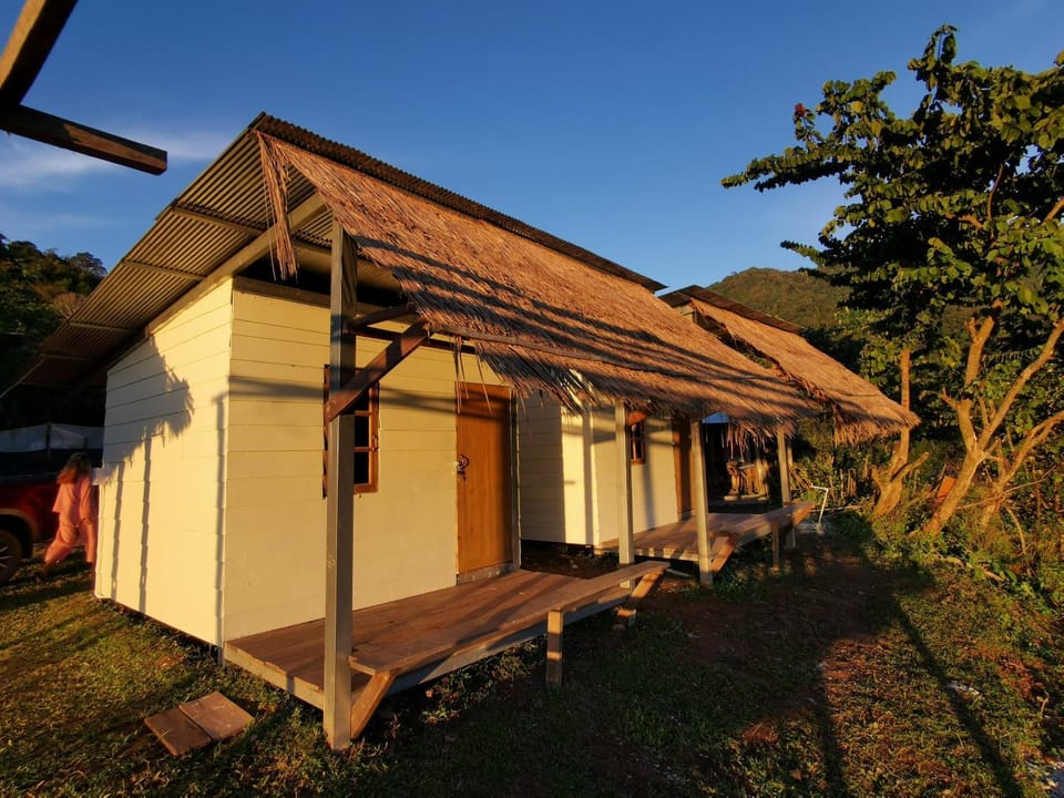 Property building, Day