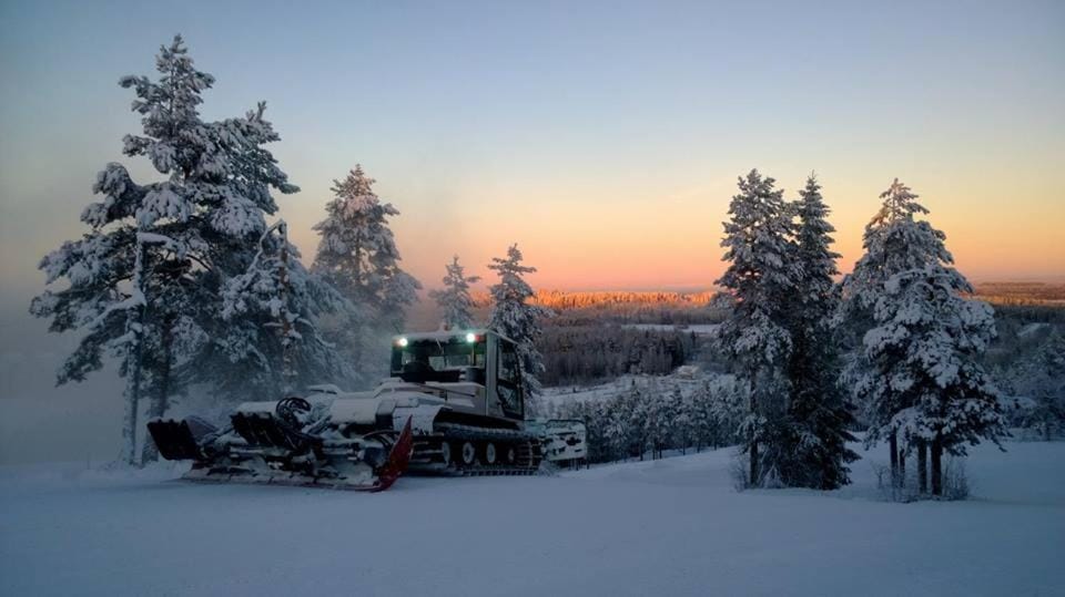 Skiing, Skiing