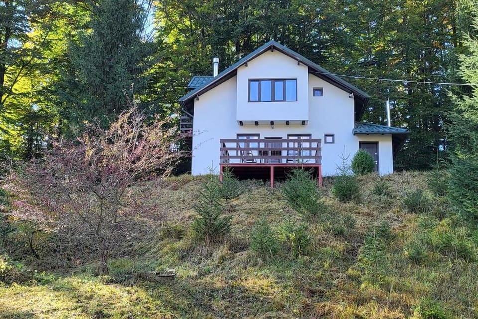 Property building, Garden view