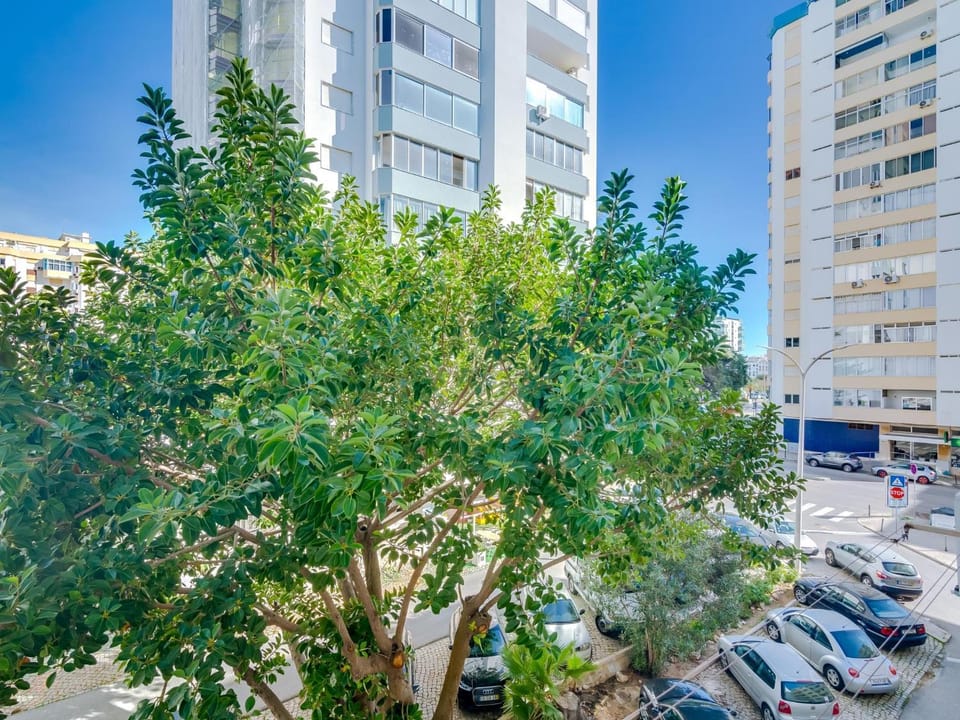 Property building, Spring, Day, Neighbourhood, City view, Street view, Location, Parking
