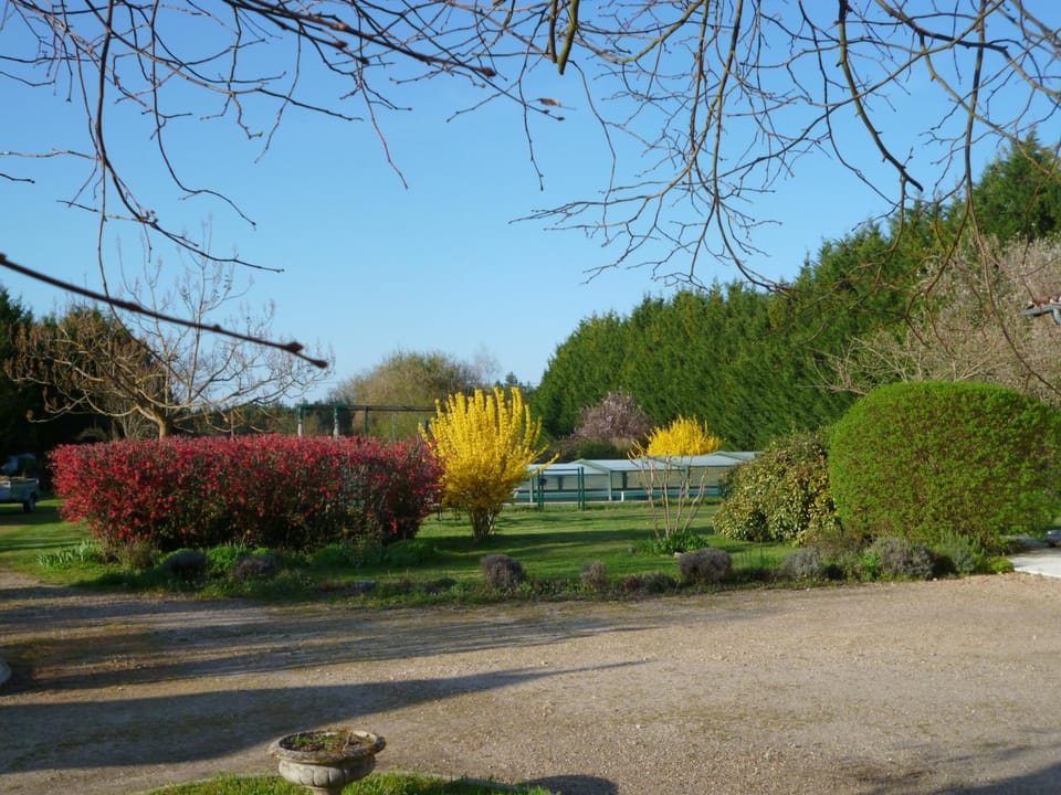 Garden view