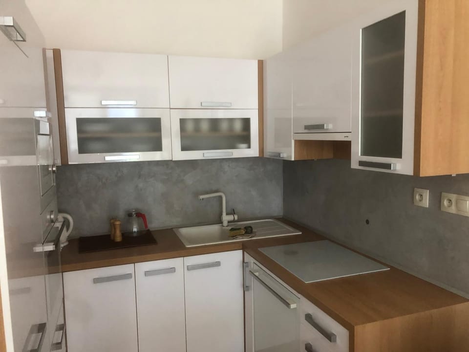 Kitchen or kitchenette, dishwasher, stove